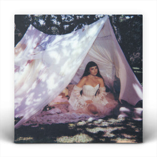 Julia Mestre- Maravilhosamente Bem