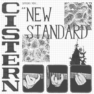 the album cover for Cistern - New Standard