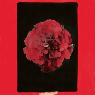 Activity- A Thousand Years in Another Way