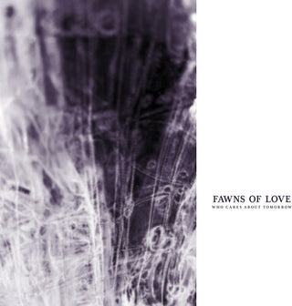 Fawns of Love- Who Cares About Tomorrow (Vinyl)
