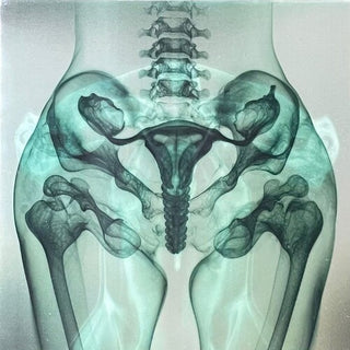 Eartheater- Shark Brain / Dolphin - Glow in the Dark Vinyl