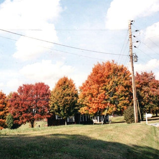 Vegas Water Taxi- Things Are Gonna Be Alright (Extended Edition) - Red