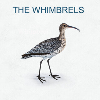 The Whimbrels- The Whimbrels