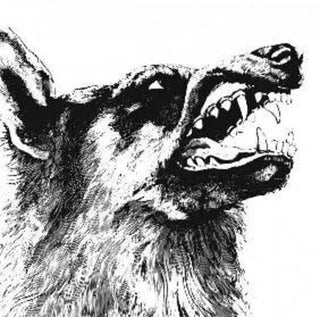 Crippled Black Phoenix- I, Vigilante