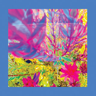 Reds Pinks & Purples- The Past is a Garden I Never Fed (CD)