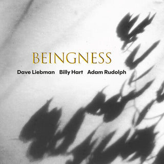 Dave Liebman- Beingness