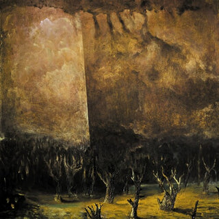 Tenebrae In Perpetuum- Vacuum Coeli