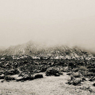 Mizmor- Mnemonic: Ambient Mosaic