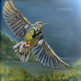The Wildwoods- Dear Meadowlark