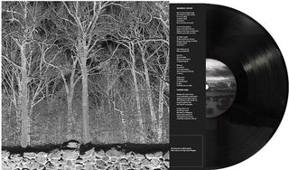 Pile- Sunshine and Balance Beams