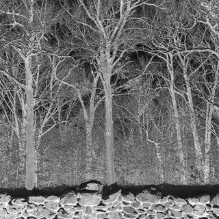 Pile- Sunshine and Balance Beams