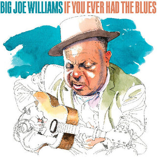 Big Joe Williams- If You Ever Had The Blues