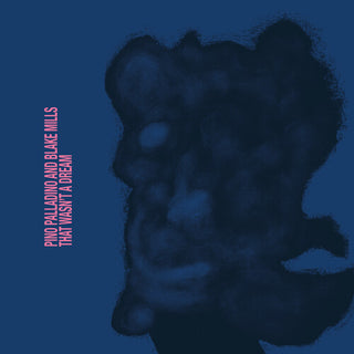 Pino Palladino- That Wasn't A Dream