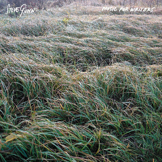 Steve Gunn- Music For Writers (CD)