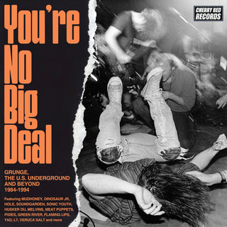 You're No Big Deal: Grunge, The U.S. Underground & Beyond 1984-1994 / Various
