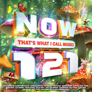 Various Artists- Now That's What I Call Music 121 / Various
