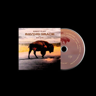 Robert Plant- Saving Grace