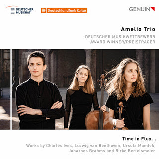 Amelio Trio- Time in Flux…