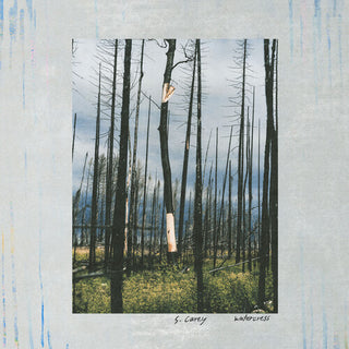 S. Carey- Watercress