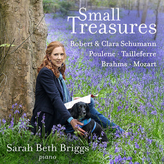 Sarah Beth Briggs- Small Treasures