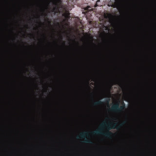 the album cover for Daedric - As The Light Left [Colored Vinyl] [Limited Edition]