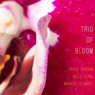 Trio of Bloom- Trio Of Bloom (CD)