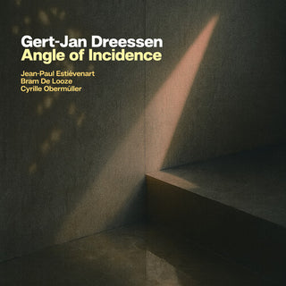 Gert-Jan Dreessen- Angle of Incidence