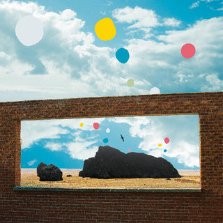 Admiral Fallow- First Of The Birds