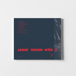 Jamie Woon- 3, 10, Why, when (CD)