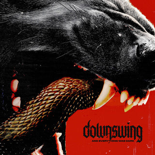 Downswing- And Everything Was Dark