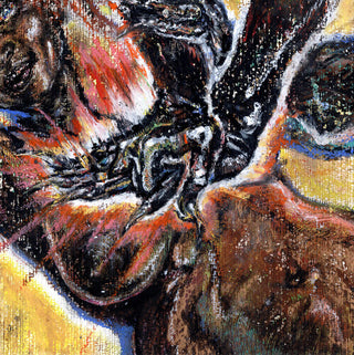 Shungu- Faith in the Unknown