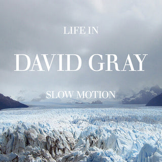 David Gray- Life in Slow Motion (20th Anniversary Edition)