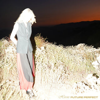 Hirons- Future Perfect