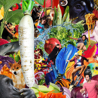 Jetski- The Radiant Radish (CD)