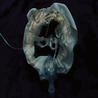 Initiatrix (Vinyl)