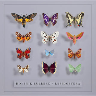 the album cover for Dominik Eulberg - Lepidoptera