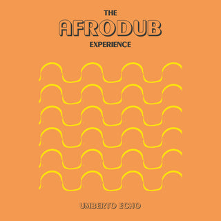 the album cover for Umberto Echo - Afrodub Experience