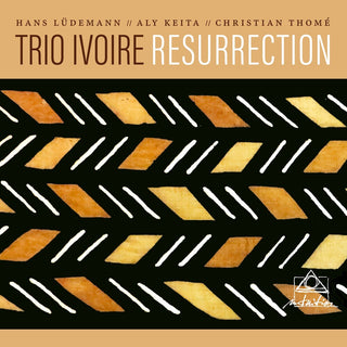 the album cover for Trio Ivoire - Resurrection