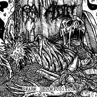 the album cover for Raw Addict - Swarm Decomposition