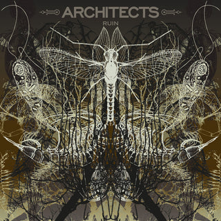 the album cover for Architects - Ruin [Limited Edition] (Pict)