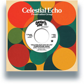 the album cover for Pumphouse Gang - Welcome Back Into My Life (W/ Medlar Edit)