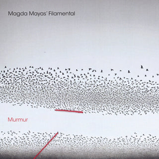 the album cover for Magda Mayas Filamental - Murmur