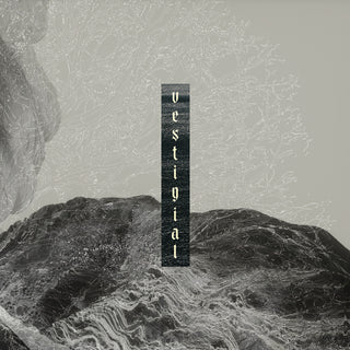 the album cover for Vestigial - Descending Vastness