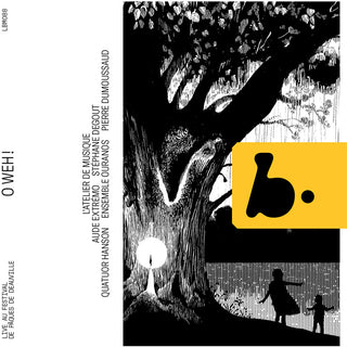 the album cover for Aude Extremo - O Weh!