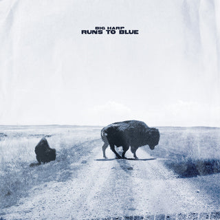 the album cover for Big Harp - Runs To Blue