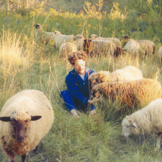 the album cover for Resavoir - Themes For Dreams