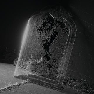 the album cover for Visible Cloaks - Paradessence