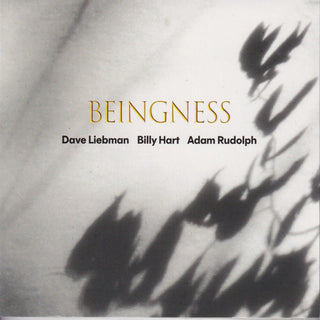 the album cover for Dave Leibman  / Hart,Billy / Rudolph,Adam - Beingness [Colored Vinyl] [Limited Edition] [180 Gram]