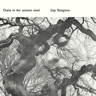 the album cover for Gap Mangione - Diana In The Autumn Wind