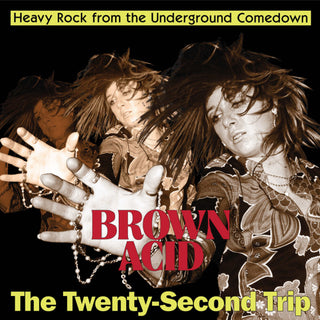 the album cover for Brown Acid - Twenty-Second Trip / Various - Brown Acid - The Twenty-Second Trip (Various Artists)